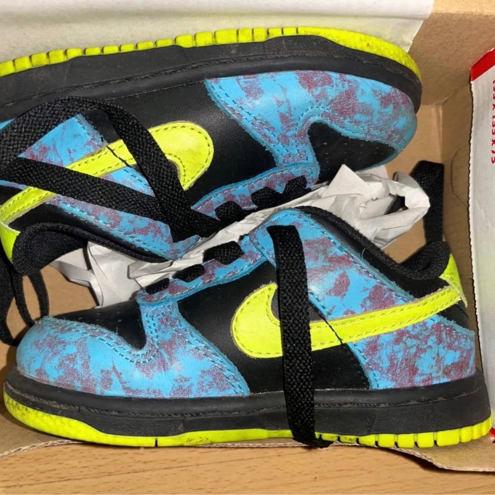Toddler Nike Dunk